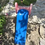 бели ружи Prázdninový dům Kosovo