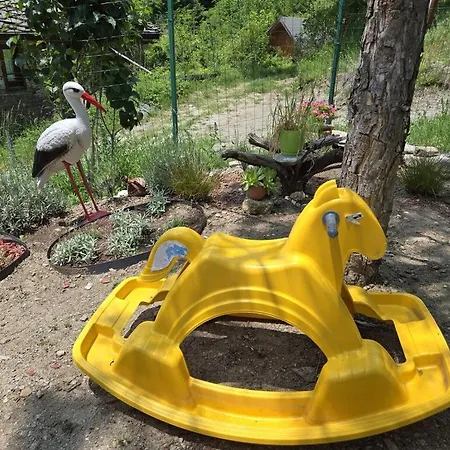 бели ружи * Kosovo
