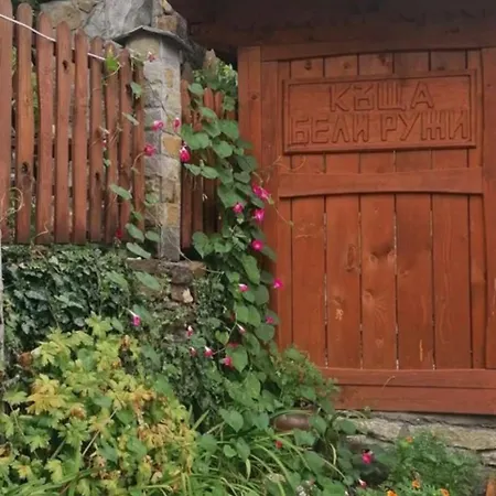 бели ружи * Kosovo